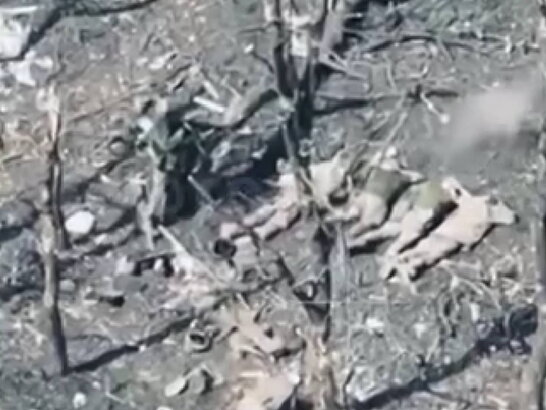 Черговий воєнний злочин: окупанти розстріляли 5 полонених бійців ЗСУ під Покровськом