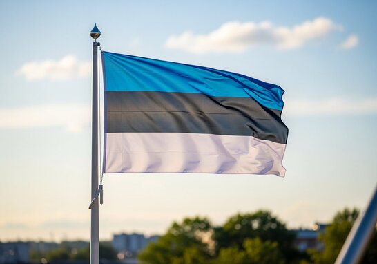 Естонія почала будівництво бетонних бункерів на кордоні з Росією