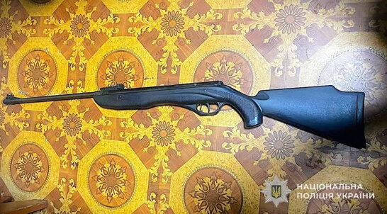 На Львівщині жінку підозрюють у вбивстві собаки з пневматичної гвинтівки