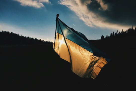 Як українці оцінюють рівень демократії у країні - результати опитування