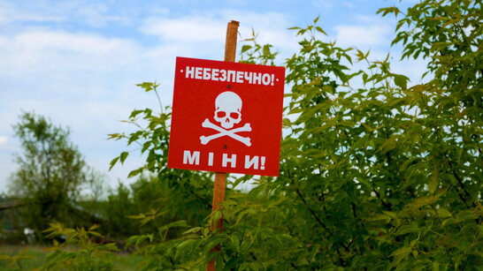 Польща виходить з Оттавської конвенції про заборону протипіхотних мін