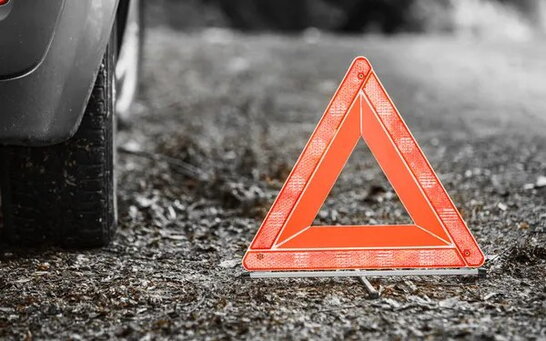 У ДТП під Києвом загинув відомий еколог Володимир Борейко
