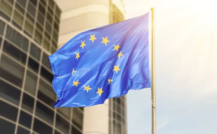В Європарламенті депутаткам хочуть дозволити голосувати через представників на останніх місяцях вагітності