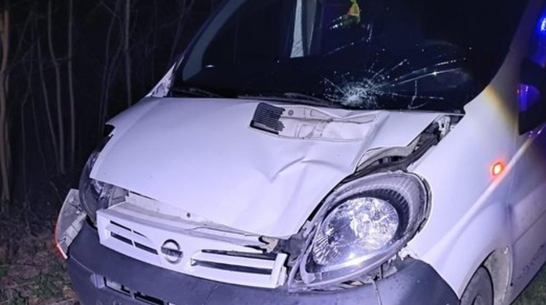 На Львівщині 52-річну жінку збили один за одним два автомобілі