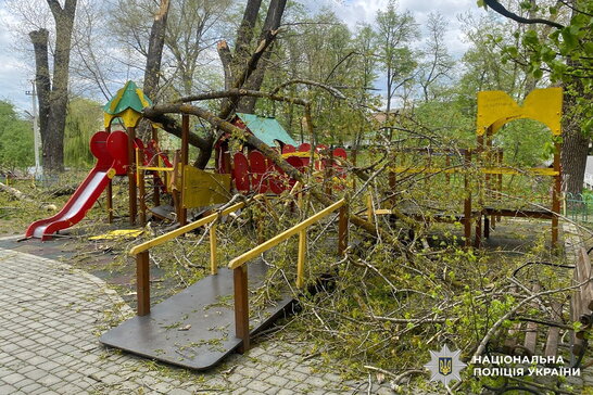 На Буковині дерево впало на дитячий майданчик: двоє дівчат у лікарні