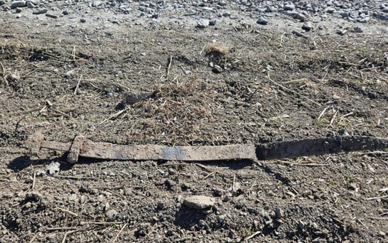 У Норвегії 6-річний школяр випадково знайшов 1300-річний меч