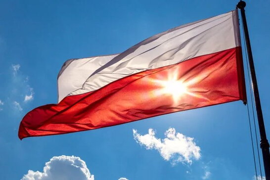 У Польщі знайшли 250-мільйонного мечохвоста під час будівельних робіт