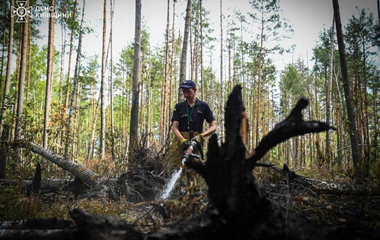 У Чорнобильській зоні ліквідували масштабну пожежу після двох тижнів боротьби