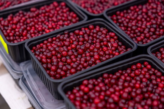 Дієтологиня назвала продукти для сніданку, які можуть підтримувати здорове старіння