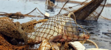 З 1 квітня на Львівщині заборонять виловлювати рибу