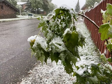 У Фінляндії у червні випав сніг