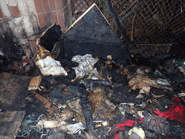 У Києві невідомі підпалили притулок для тварин: поліція відкрила кримінальне провадження