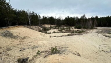 На Житомирщині виявили незаконний видобуток піску