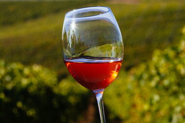 Закарпатське вино отримало офіційне географічне зазначення