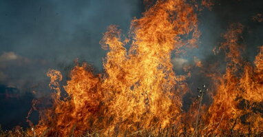 Через спеку в Україні зросла удвічі кількість пожеж в екосистемах