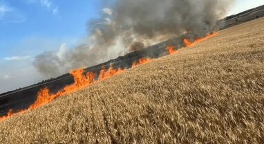 У Запорізькій області через обстріл РФ згоріло майже 4 га поля пшениці