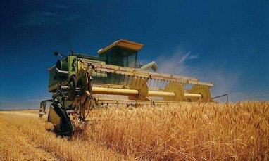 Українські аграрії зібрали понад 22 млн тонн нового врожаю