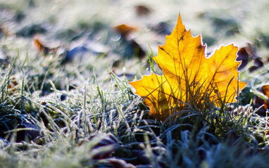 В Україні на вихідних нічні заморозки до -5°, подекуди пройдуть дощі