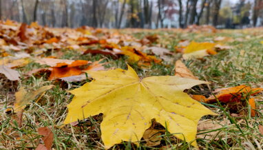 В Україні завтра переважно без опадів, місцями туман, вдень до +18°