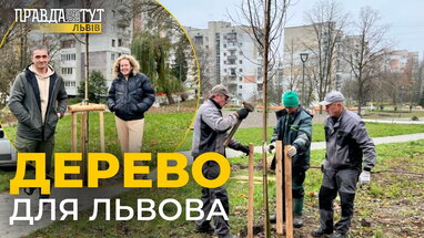 У Львові набирає обертів акція «Подаруй місту дерева»