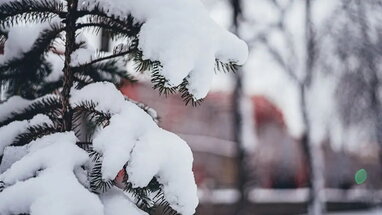 В Україні у п'ятницю невеликий сніг і сильний вітер, вдень до 6° морозу