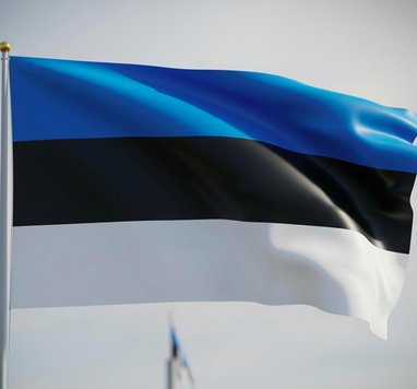 Естонія передала Києву українця, пов'язаного з ФСБ, який підтримував агресію РФ