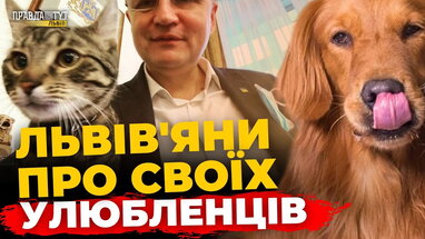 Як львів'яни ставляться до домашніх тварин: опитування | ПравдаТУТ Львів