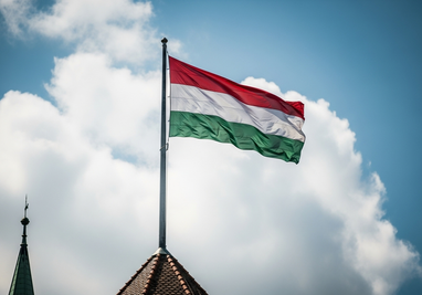 Будапешт оприлюднив результати псевдореферендуму про вступ України до ЄС