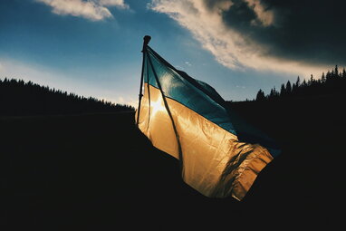 Україна виходить з Оттавської конвенції про заборону протипіхотних мін — Костенко