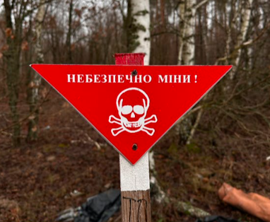 На Херсонщині жінка підірвалася на російській міні
