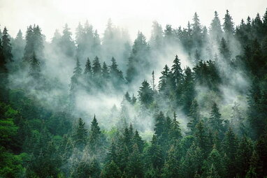 20 серпня: гороскоп, іменини, свята