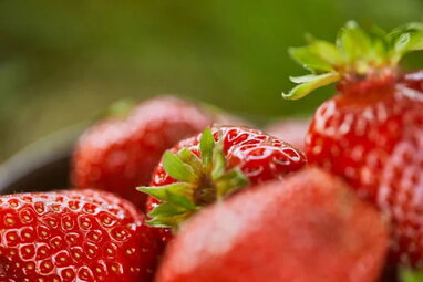 Топ-10 найкорисніших продуктів проти старіння організму