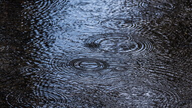 Погода в Україні на 29 жовтня: дощі та сильні пориви вітру