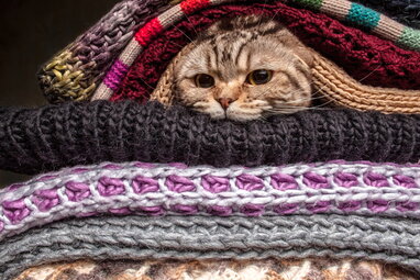 Різкі похолодання та мокрий сніг: прогноз на 18 листопада