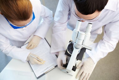 Вчені визначили, яка тварина з'явилася першою на Землі