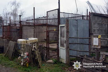 Втеча левиць у Хмельницькому: власнику зоокуточка оголосили підозру та обрали запобіжний захід