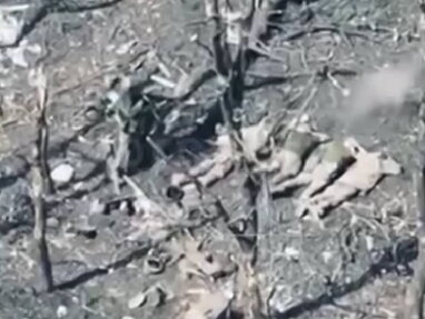 Черговий воєнний злочин: окупанти розстріляли 5 полонених бійців ЗСУ під Покровськом