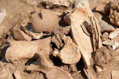 "Стратегія залякування": археологи знайшли череп кельта, який римляни виставили на стіні форту 2000 років тому