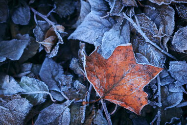 26 листопада: гороскоп, іменини, свята