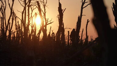 Фільм «2000 метрів до Андріївки» увійшов до довгого списку «Оскара» у двох номінаціях