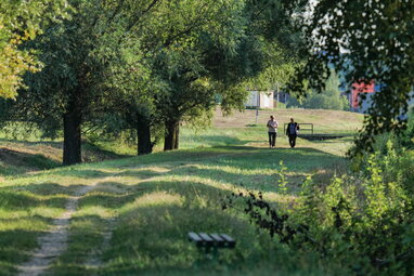 Що буде, якщо щодня ходити по 30 хвилин: користь для серця, сну і настрою