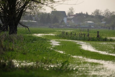 Повені в Кот-д’Івуарі забрали життя 59 людей — уряд