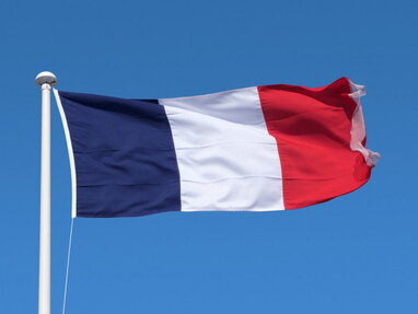 У Франції затримали понад 420 людей через масштабні лісові пожежі