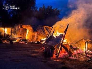 Пожежа в притулку «Сіріус» на Київщині: загинули вісім собак, поліція розпочала розслідування