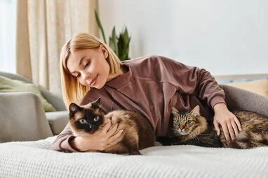 Коти розрізняють одне одного за жирними кислотами із сечі — вчені з’ясували механізм
