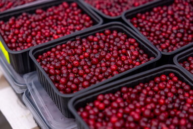 Дієтологиня назвала продукти для сніданку, які можуть підтримувати здорове старіння