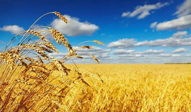 Українці три дні не зможуть оформлювати паспорти: що сталося