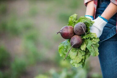 Кардіологиня назвала овоч, який допомагає знижувати артеріальний тиск