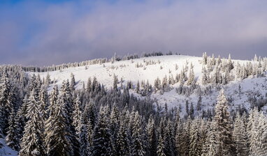 У Карпатах температура опустилася до -4°C: рятувальники закликають туристів не йти в гори