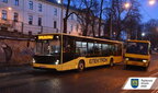 У Львові автобусні маршрути курсуватимуть частіше